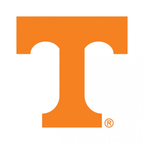 Reduced Use of Lady Vols Name, Logo 